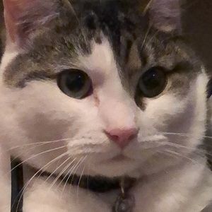 Meet your Posher, Sofia